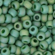 Miyuki seed beads 6/0 - Opaque glazed frosted turtle green 6-4699